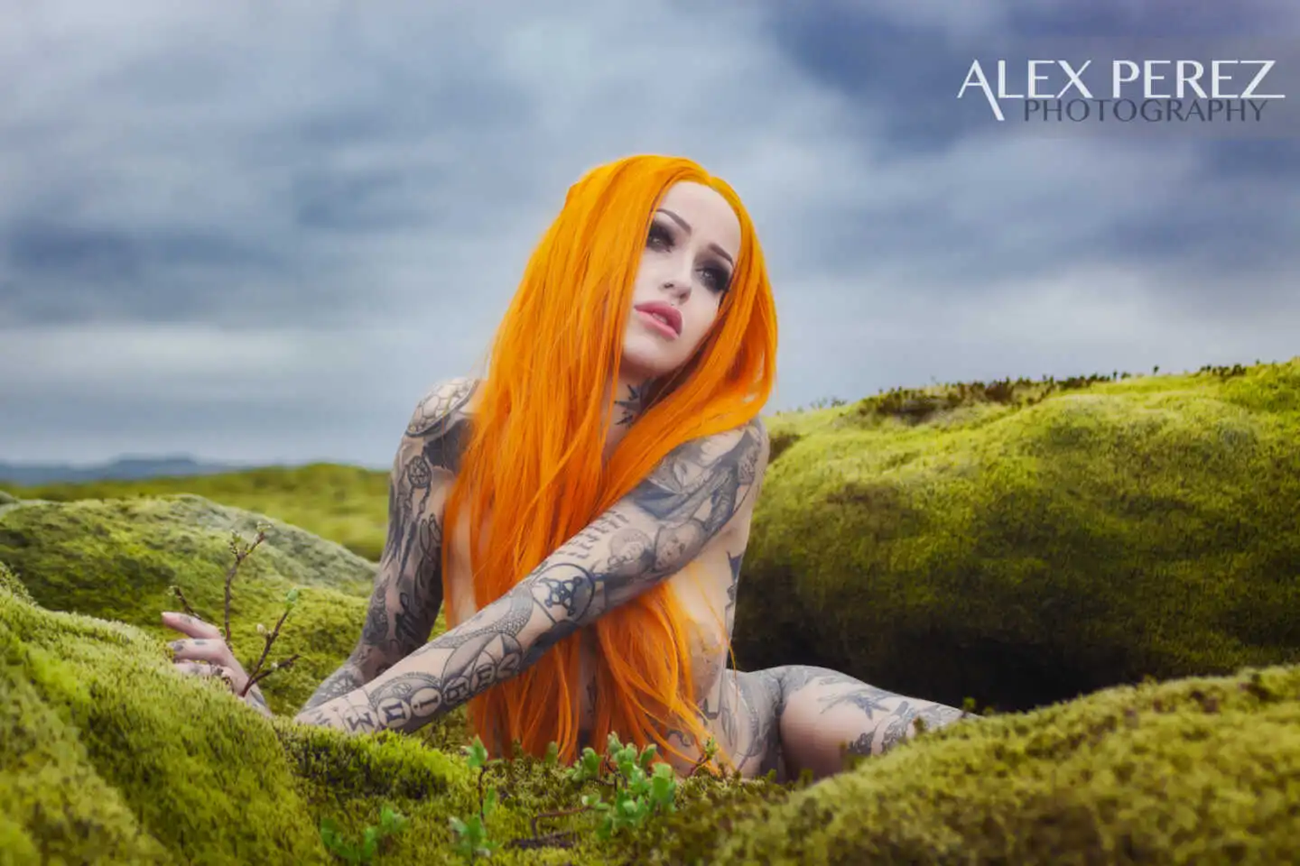 Shelly D’Inferno, Moss Fields, Iceland, June 2017
